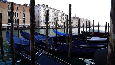 Gondolas in Venice Stock Footage 88092682