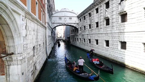Gondolas in Venice Stock Footage 88103178