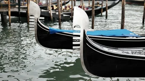 Gondolas in Venice Stock Footage 234558114