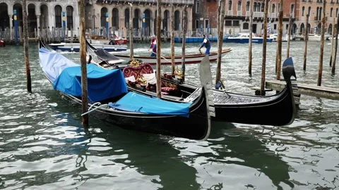 Gondolas in Venice Stock Footage 234558559