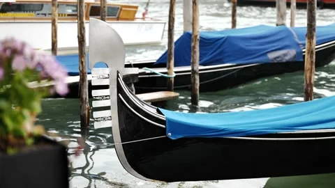 Gondolas in Venice Stock Footage 234558864