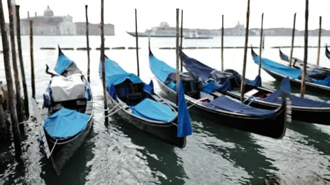 Gondolas in Venice Stock Footage 234561516