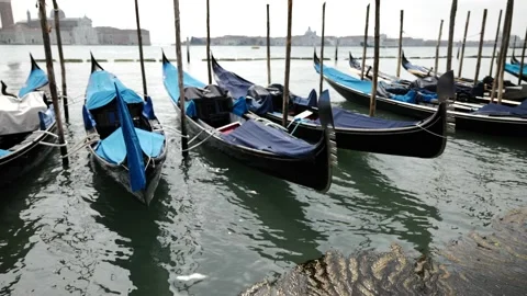 Gondolas in Venice Stock Footage 234561834