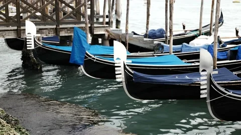 Gondolas in Venice Stock Footage 234562656