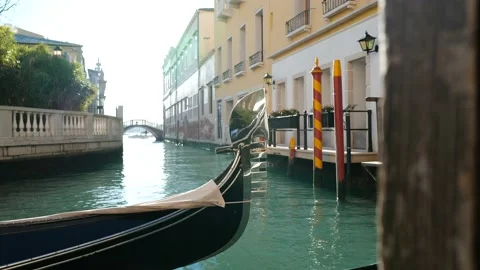 Gondolas in Venice Stock Footage 235856601