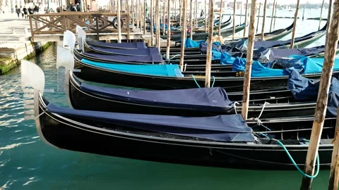 Gondolas in Venice Stock Footage 235856902