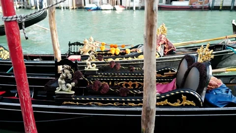 Gondolas in Venice Stock Footage 235858072