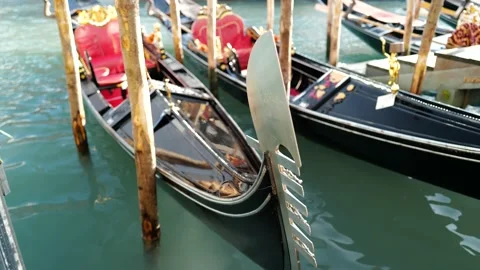 Gondolas in Venice Stock Footage 235858159
