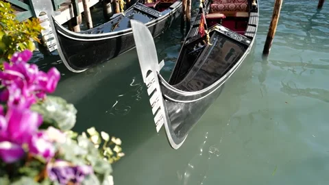 Gondolas in Venice Stock Footage 235858246