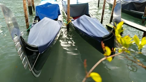 Gondolas in Venice Stock Footage 235858262