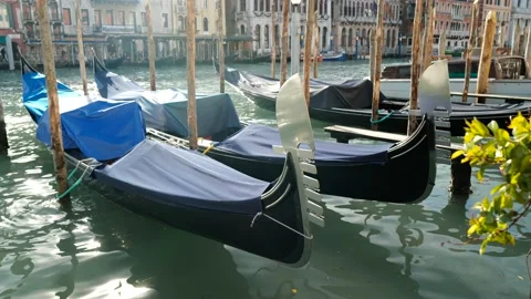 Gondolas in Venice Stock Footage 235858307