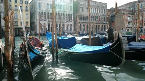 Gondolas in Venice Stock Footage 235858414