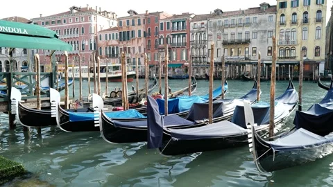 Gondolas in Venice Stock Footage 235858472