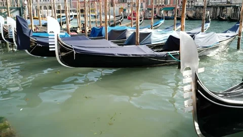 Gondolas in Venice Stock Footage 235858534