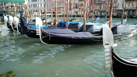 Gondolas in Venice Stock Footage 235858550