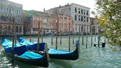 Gondolas in Venice Stock Footage 235858626