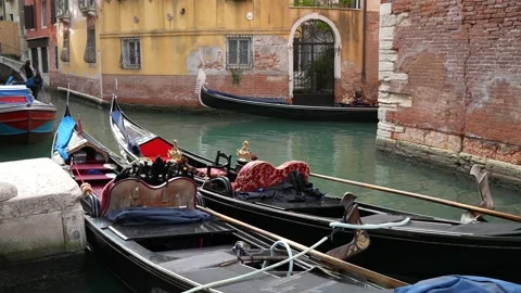 Gondolas in Venice Stock Footage 235860842