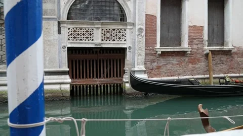 Gondolas in Venice Stock Footage 235861111
