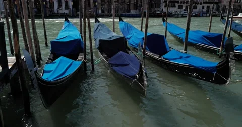 Gondolas in Venice Stock Footage 236054226