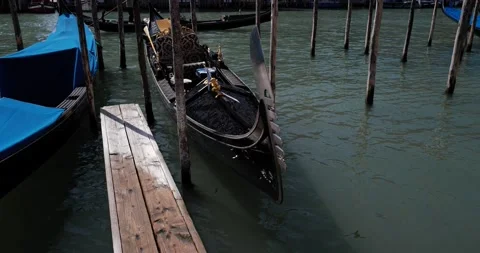 Gondolas in Venice Stock Footage 236054287