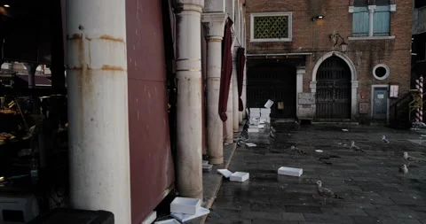 Gondolas in Venice Stock Footage 236054444