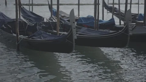 Gondolas in venice Video stock 236115445