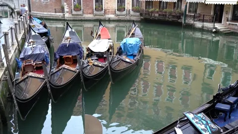 Gondolas in Venice Stock Footage 236585046