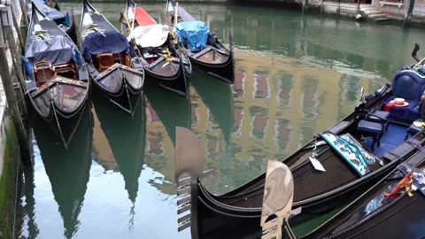 Gondolas in Venice Stock Footage 236585069