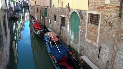 Gondolas in Venice Stock Footage 236585448