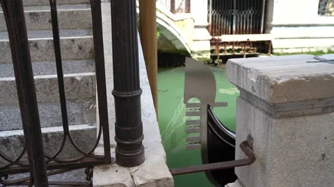 Gondolas in Venice Stock Footage 236585515