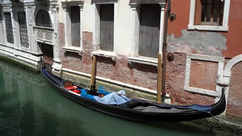 Gondolas in Venice Stock Footage 236585566