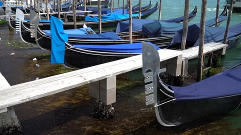 Gondolas in Venice Stock Footage 236585676