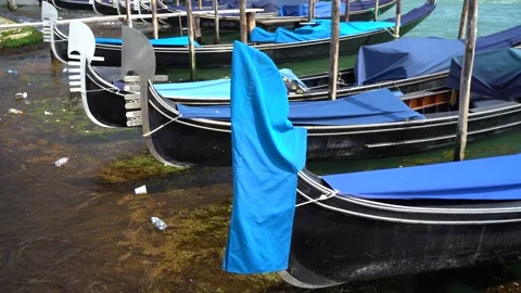 Gondolas in Venice Stock Footage 236585683