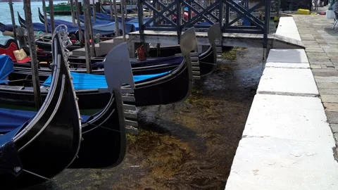 Gondolas in Venice Stock Footage 236585711