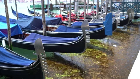 Gondolas in Venice Stock Footage 236585755