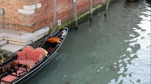 Gondolas in Venice Italy Stock Footage 87290815