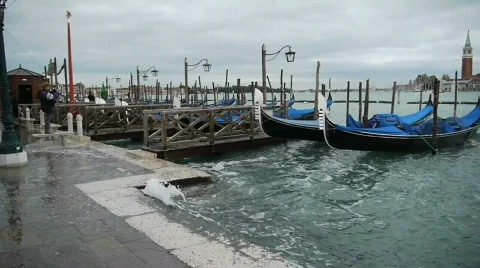 Gondolas - Venice - Venedig Video stock 562439