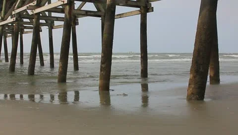 Gone fishing Video stock 11128763