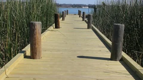 Gone Fishing Video stock 21590957