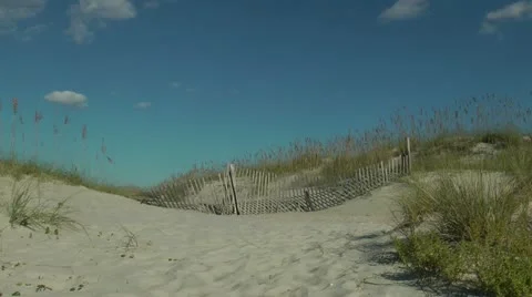 Gonna soak up the sun Stock Footage 12169602