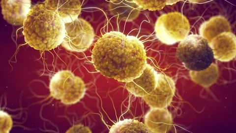 Gonorrhea bacteria Video stock 233200061