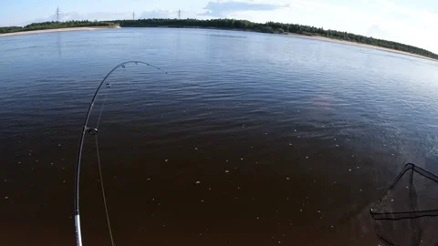 Good bite Stock Footage 285742671