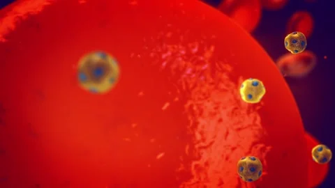 Good cholesterol Video stock 333636541
