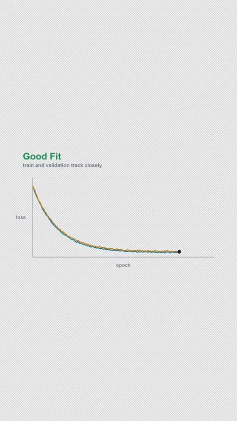 Good Fit Labeled Machine Learning Loss Curve Alpha 4K Vertical 9x16 Light Stock Footage 339496661