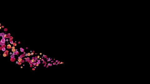 Good flowers Stock Footage