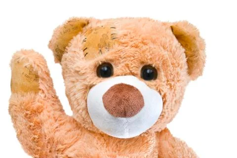 Good friendly teddy bear Stock Photos