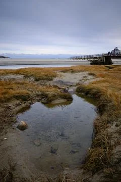 Good Harbor Beach Stock Photos