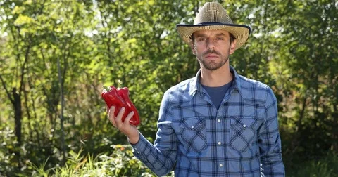 Good Looking Farmer Man Holding a Market Products Organic Red Pepper Pride Look Stock-Footage 76998919