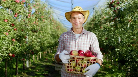 Good looking farmer old man with a charismatic pretty smile holding a basket Video stock 147188223