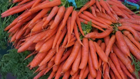 Good Looking Fresh Vegetables Stock Footage 241609308